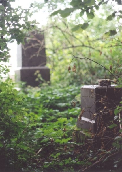 Polish cemetery, Kupel 2005